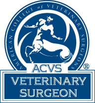 Vancouver ACVS Veterinarian Surgeon