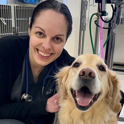 Anastasia Olsen, Vancouver Veterinarian