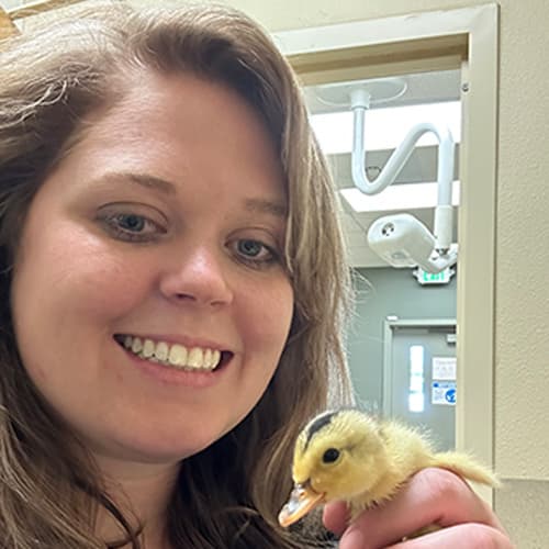 Dr. Logan Boyle, Vancouver Veterinarian