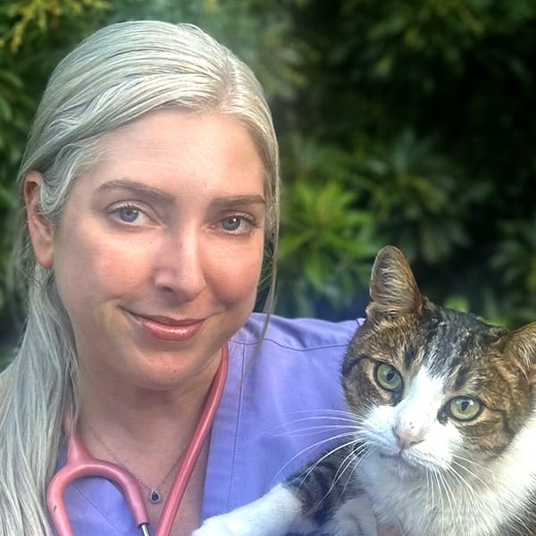 Dr. Sarah Wallace, Vancouver Veterinarian